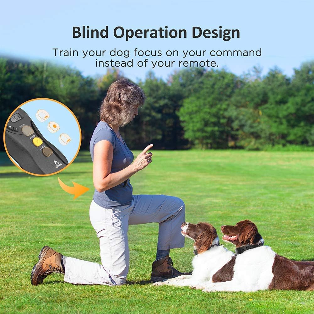 Rechargeable Waterproof Dog Training Collar with Remote for 2 Dogs U9842