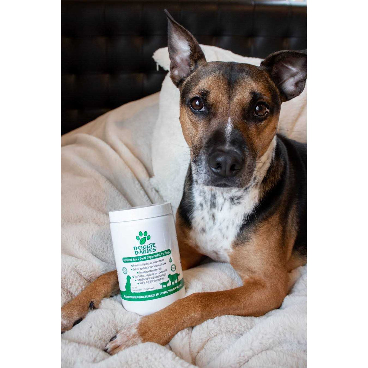 Glucosamine for Dogs Q70888