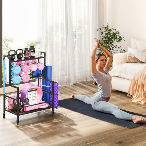 Adjustable Dumbbell Rack with Wheels and Hooks B592