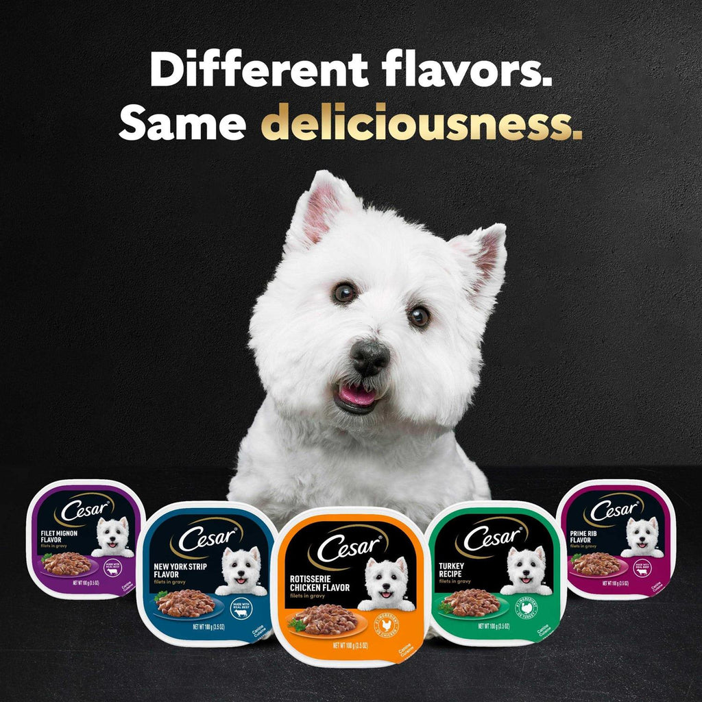 Rotisserie Chicken Flavor Wet Dog Food O4739