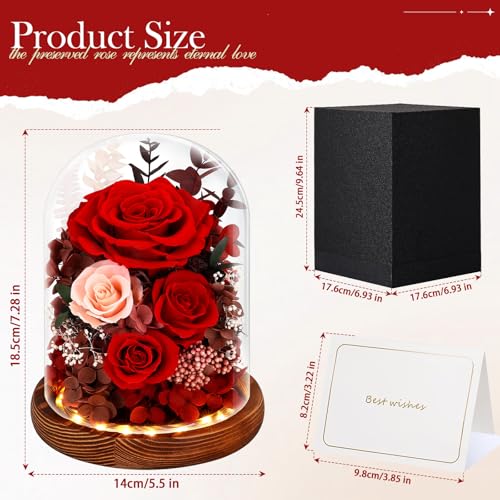 Real Red Roses in Glass Dome with LED Lights Z4579