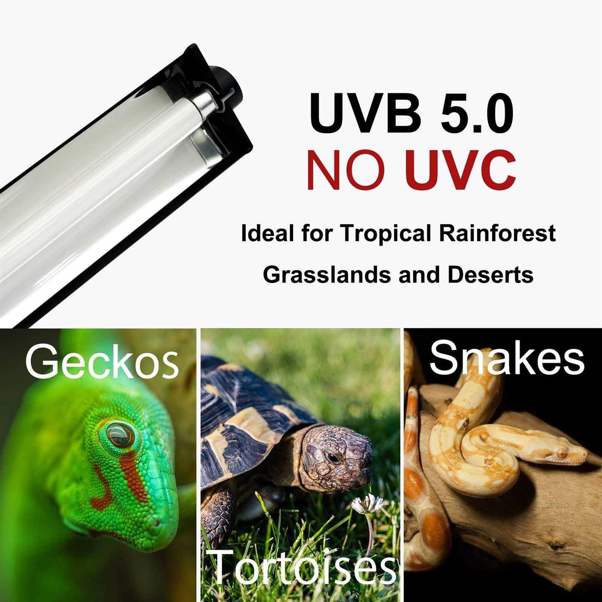 T5 HO UVB Lighting Combo Kit with UVB 10.0 Fluorescent Tube O426