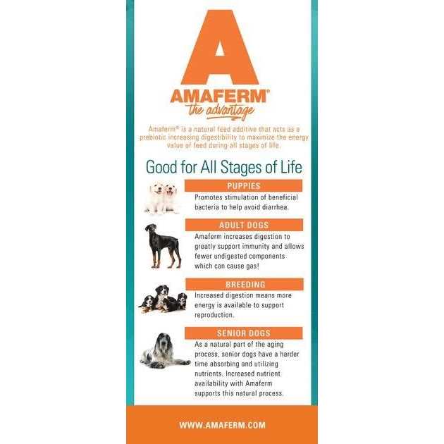 Healthy Diet Dry Dog Food V911