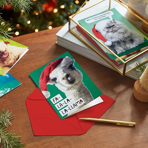 Boxed Christmas Cards with Envelopes B599886
