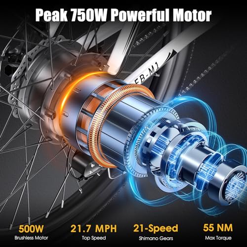 26" Electric Mountain Bike with 48V 374.4WH Battery, 21 Speed B121