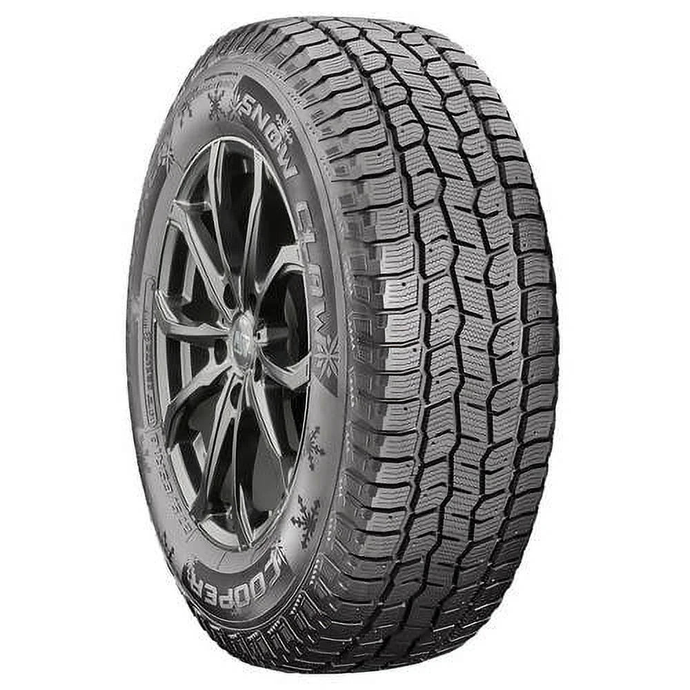 Winter Light Truck Tire V265
