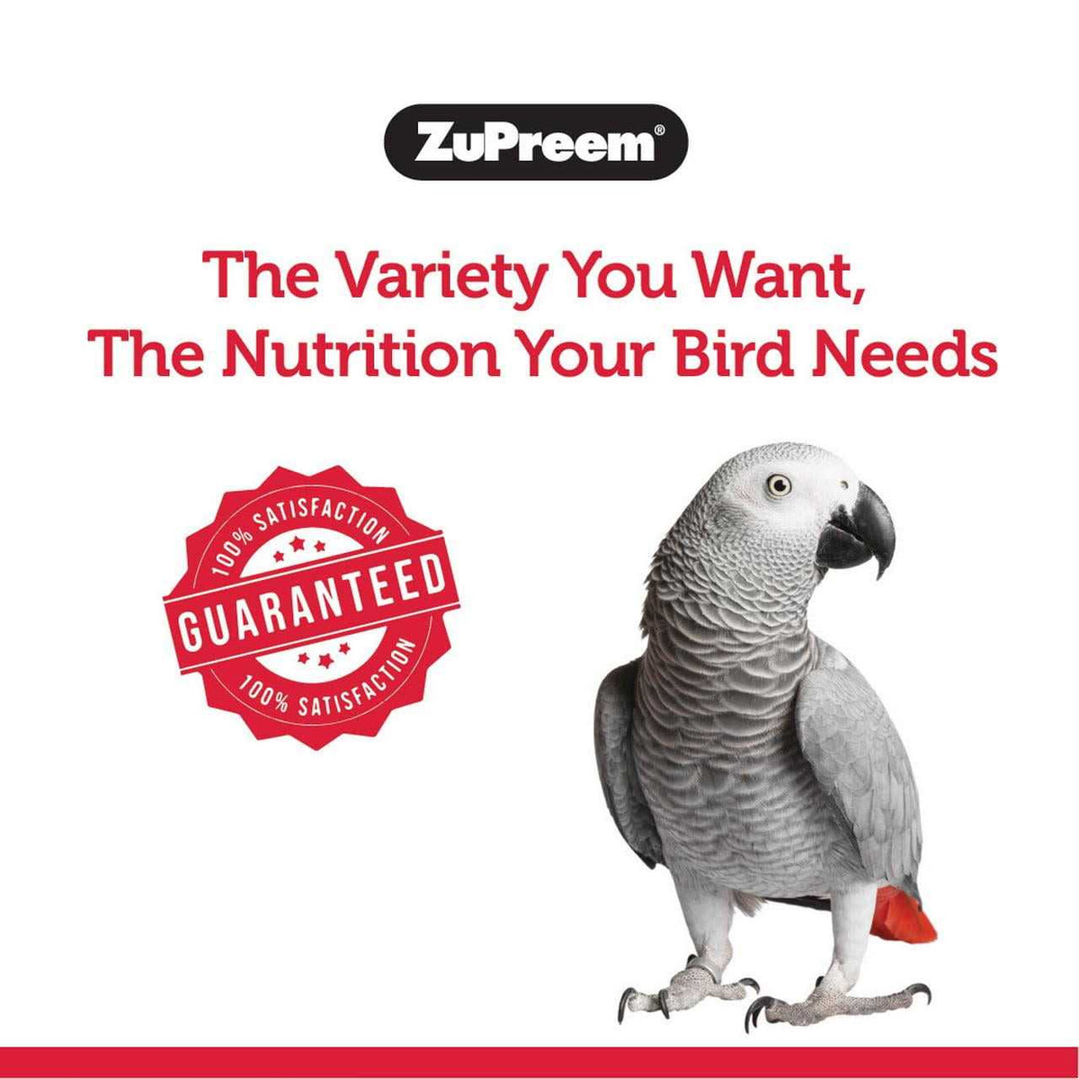 FruitBlend Flavor Bird Food Z8224