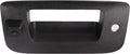 Black Tailgate Handle with Backup Camera I44033