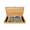 10-Piece Stainless Steak Knife Set G46204