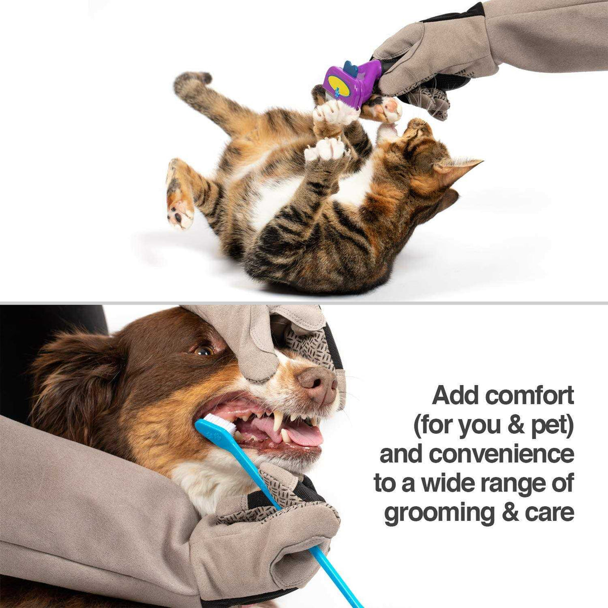 Multipurpose Pet Glove for Grooming K2207