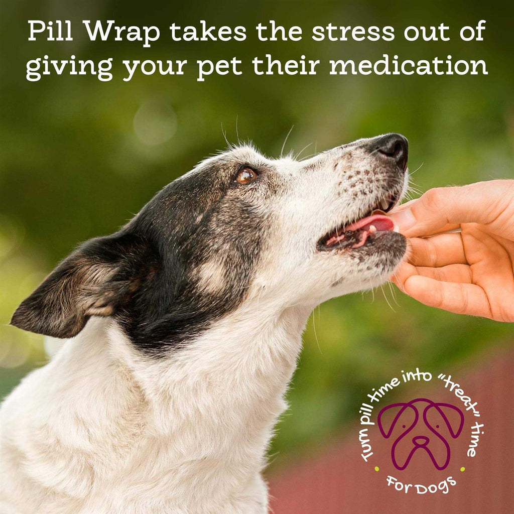 Peanut Butter Flavored Pill Paste for Dogs L2044