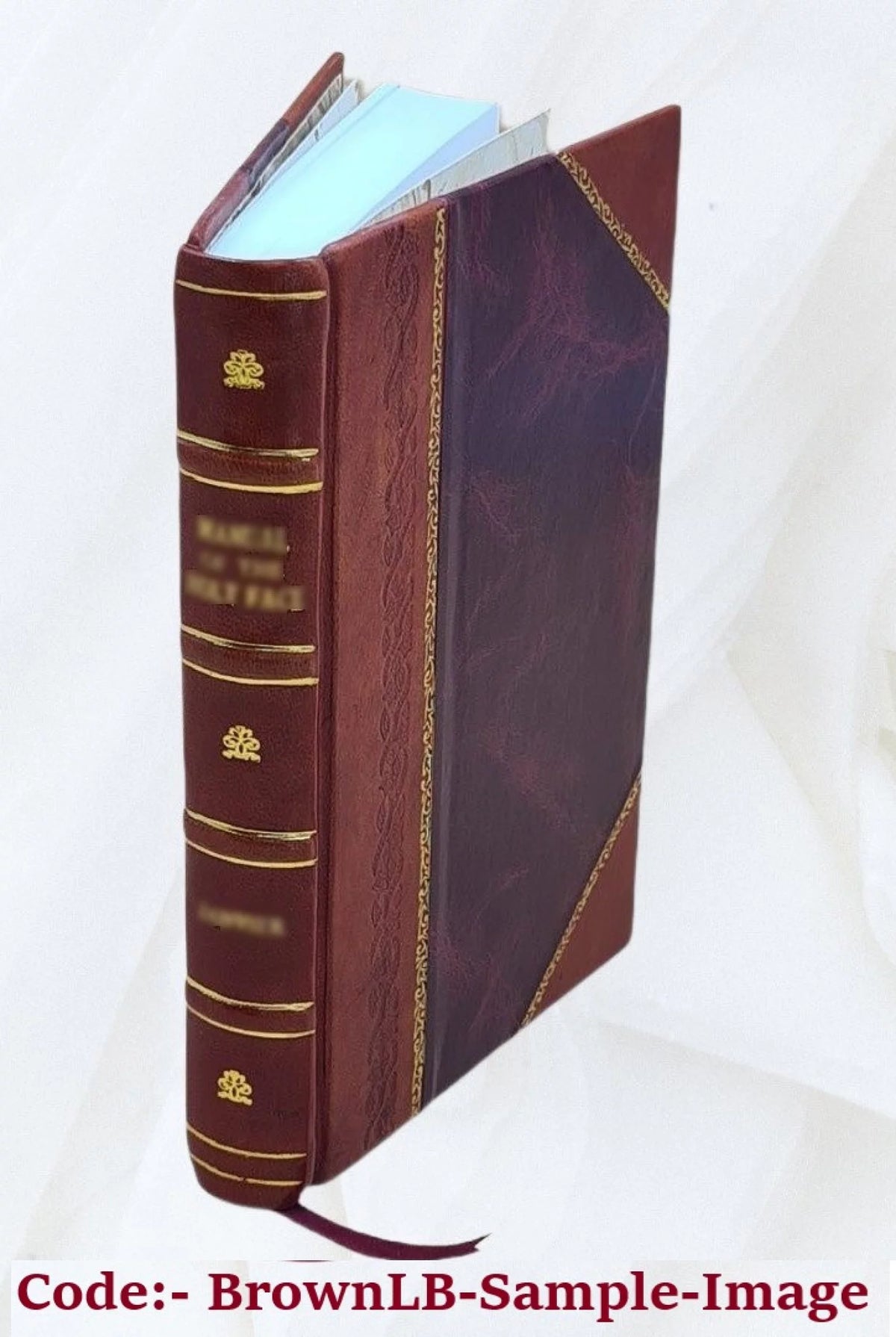 1917 Leather Bound Z165546