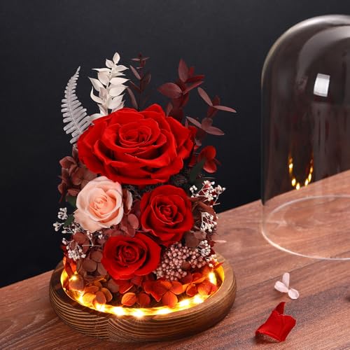 Real Red Roses in Glass Dome with LED Lights Z4579