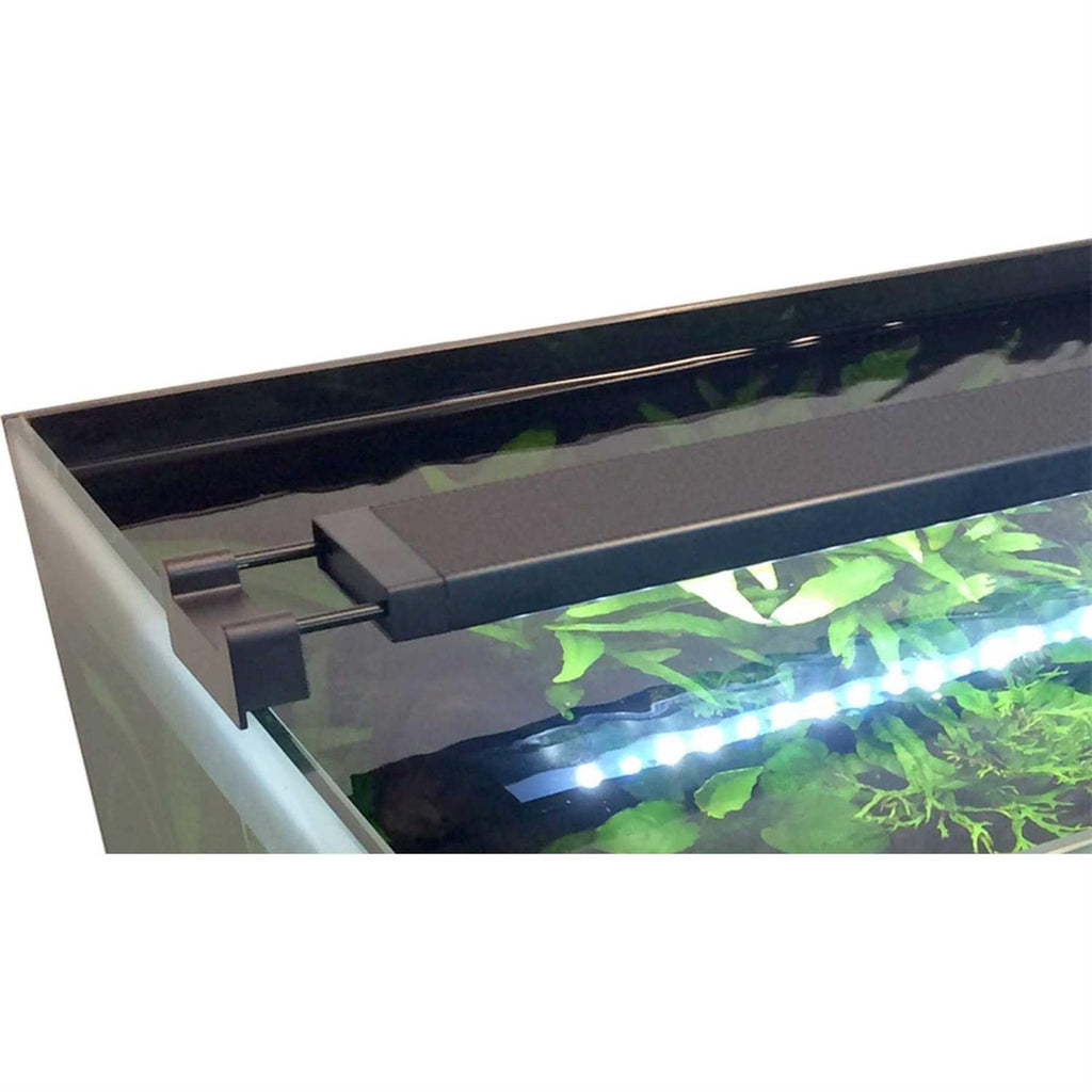 Plant LED V2344
