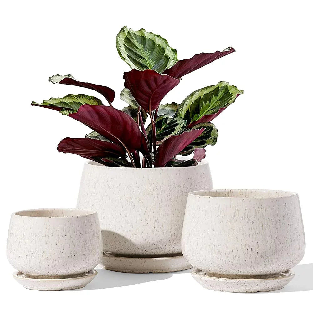 4.1+5.1+6.5 Inch Ceramic Plant Pots with Drainage Hole and Saucer, Set of 3, Beige U178