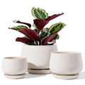 4.1+5.1+6.5 Inch Ceramic Plant Pots with Drainage Hole and Saucer, Set of 3, Beige U178