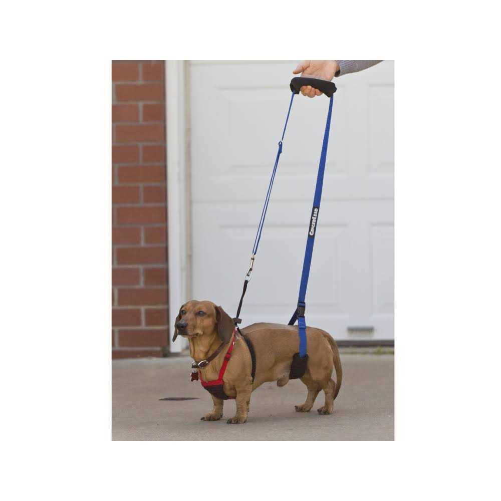 Dog Support Rehabilitation Harness D6151
