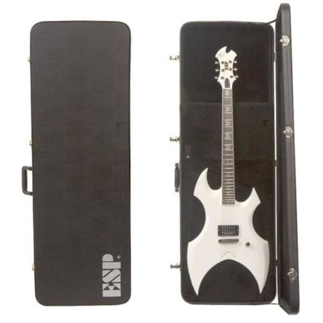 Guitar Case R65784