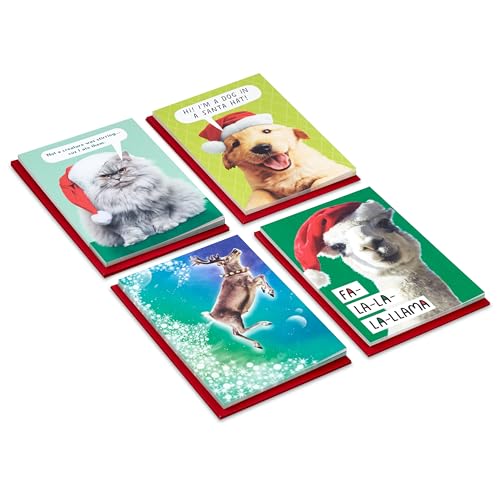 Boxed Christmas Cards with Envelopes B599886