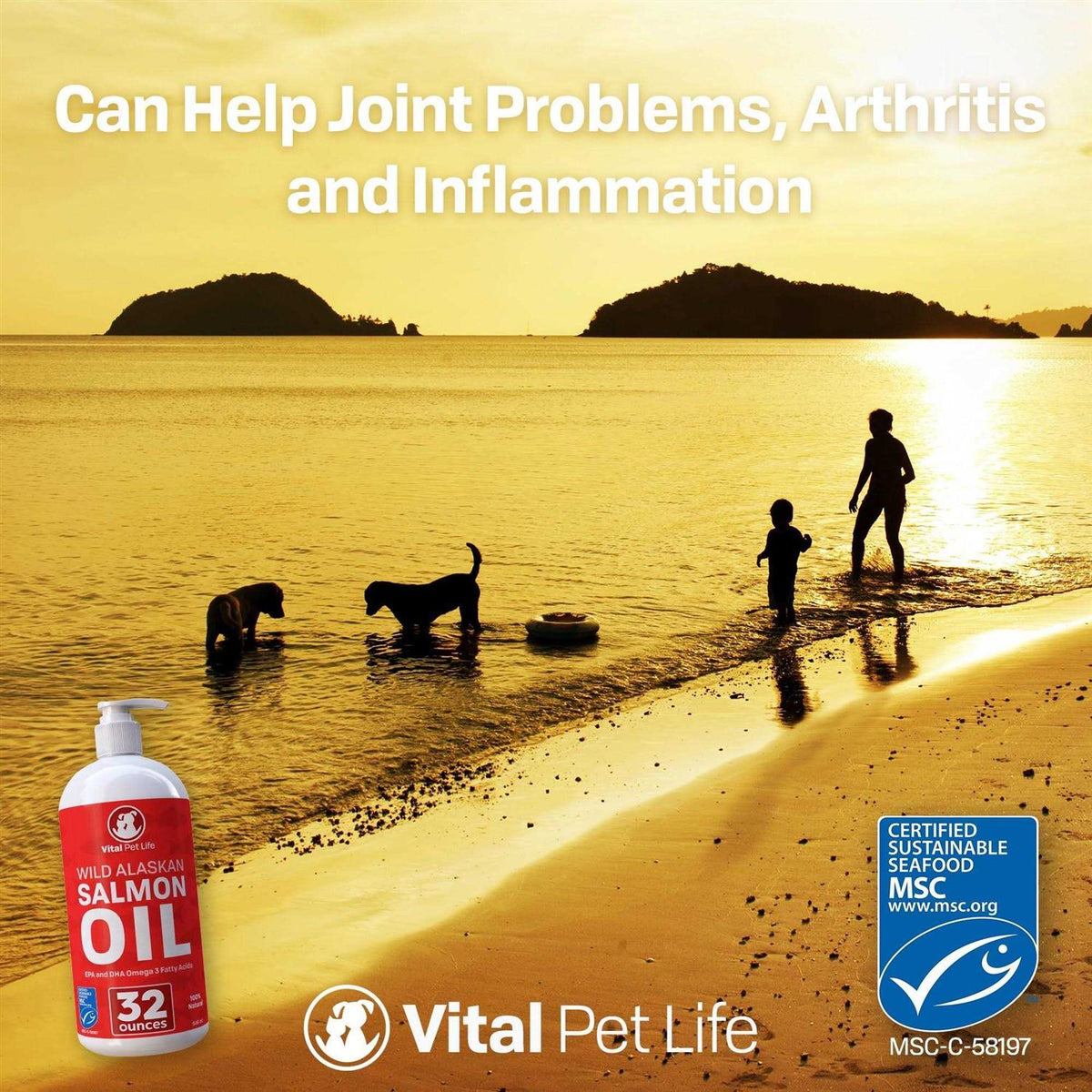 Salmon Oil for Dogs & Cats E42872