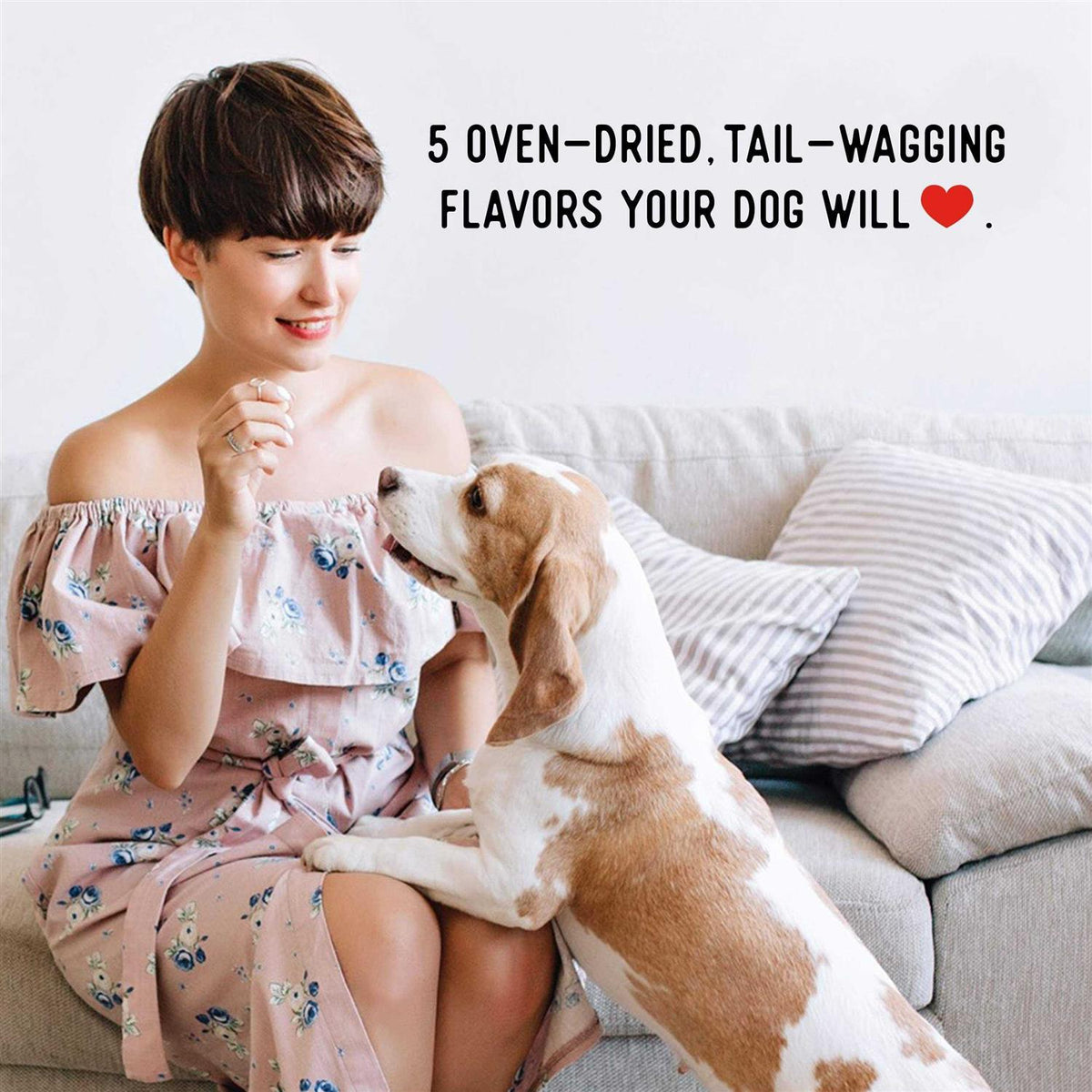 Beef Jerky Dog Treats W119831