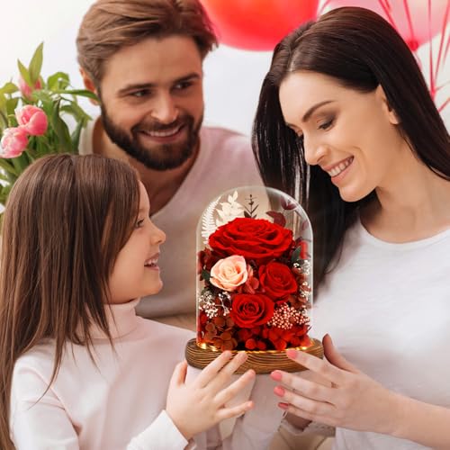Real Red Roses in Glass Dome with LED Lights Z4579