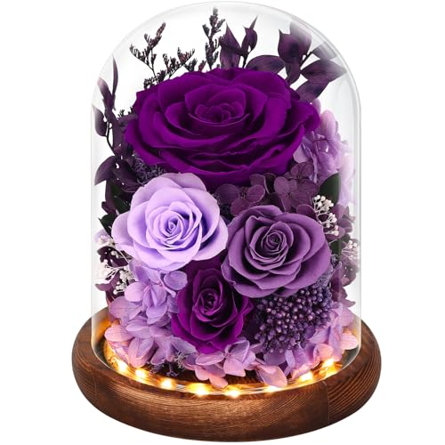 Real Red Roses in Glass Dome with LED Lights Z4579