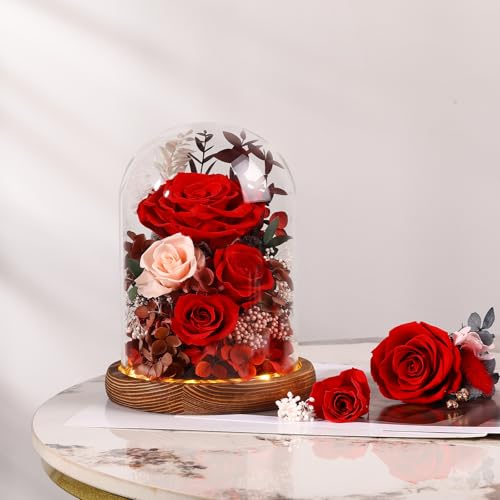 Real Red Roses in Glass Dome with LED Lights Z4579