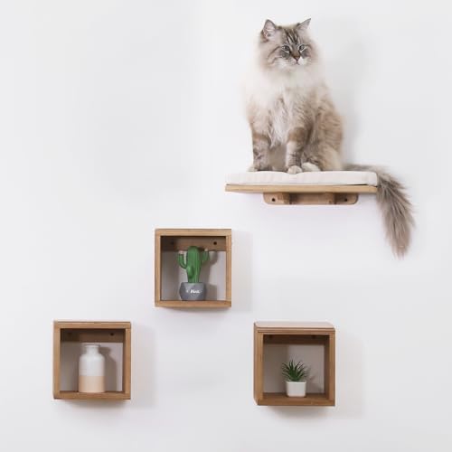 Set of 4 Cat Wall Shelves and Bed R520014