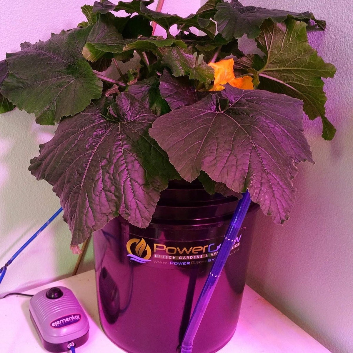 6 inch 5 Gallon Hydroponic Bucket Kit I692497