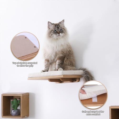 Set of 4 Cat Wall Shelves and Bed R520014