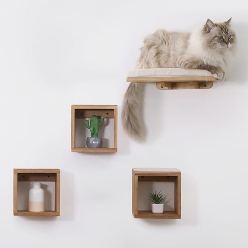 Set of 4 Cat Wall Shelves and Bed R520014