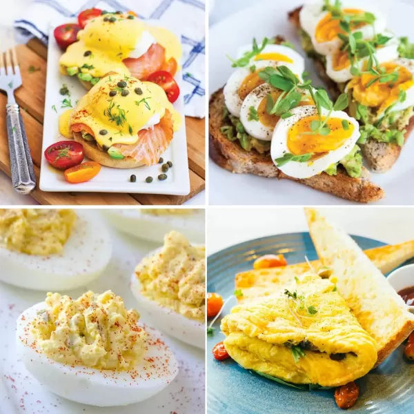 Electric 7 Egg Capacity Cooker with Auto Shut-Off N1354