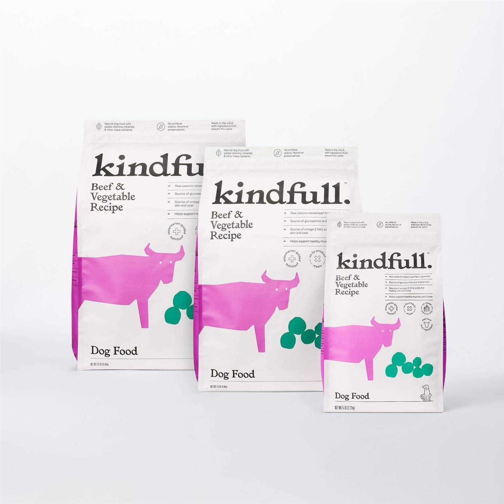 Beef and Vegetable Recipe Dry Dog Food P60057