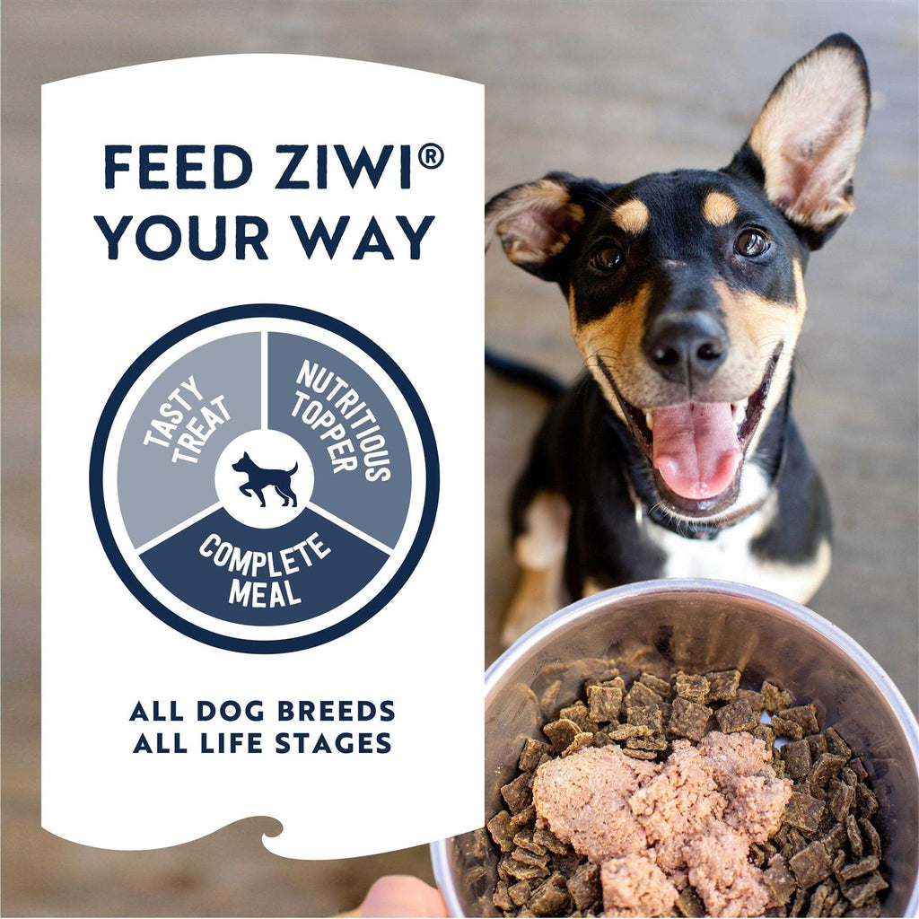 Canned Dog Food G60428