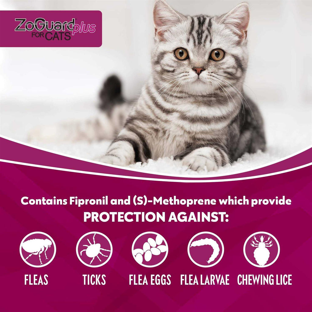 Cat Pet Supplies E533409