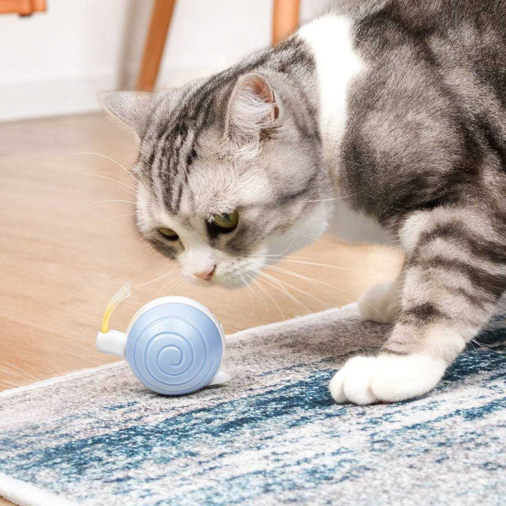 Interactive Cat Toy I2501