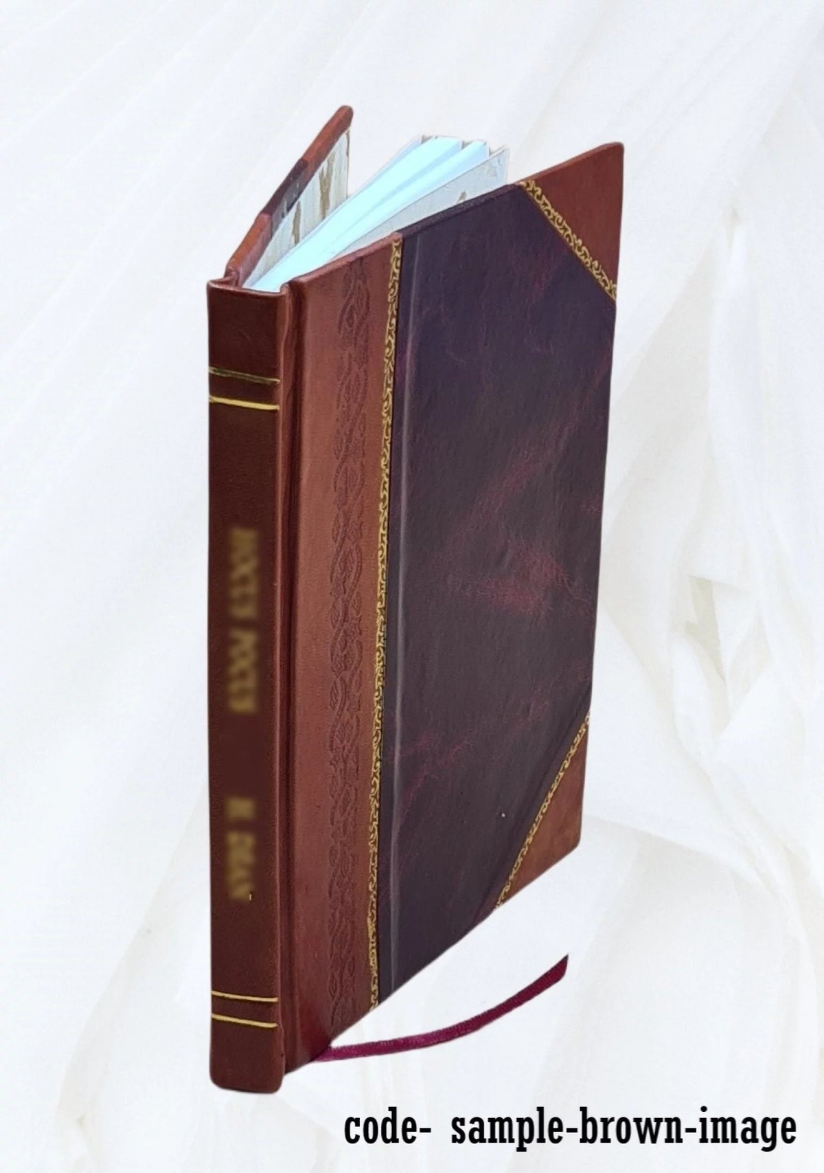 Story of Logan the Mingo Chief Leather Bound W1214