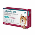 6 Month Supply Dog Pet Supplies E5814