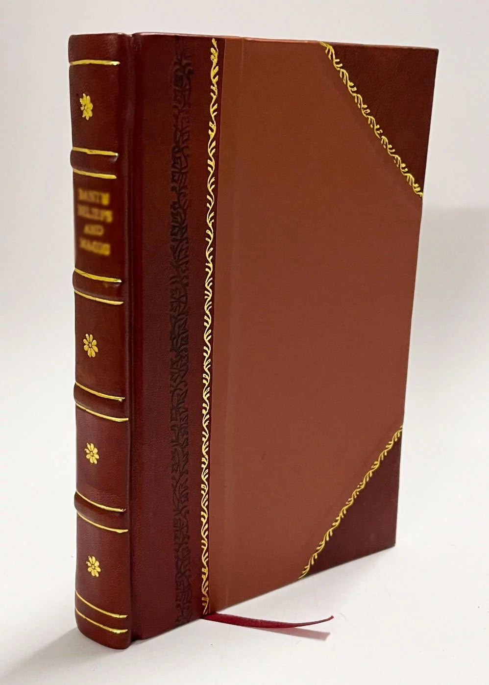 Leather Bound Essay Y3795