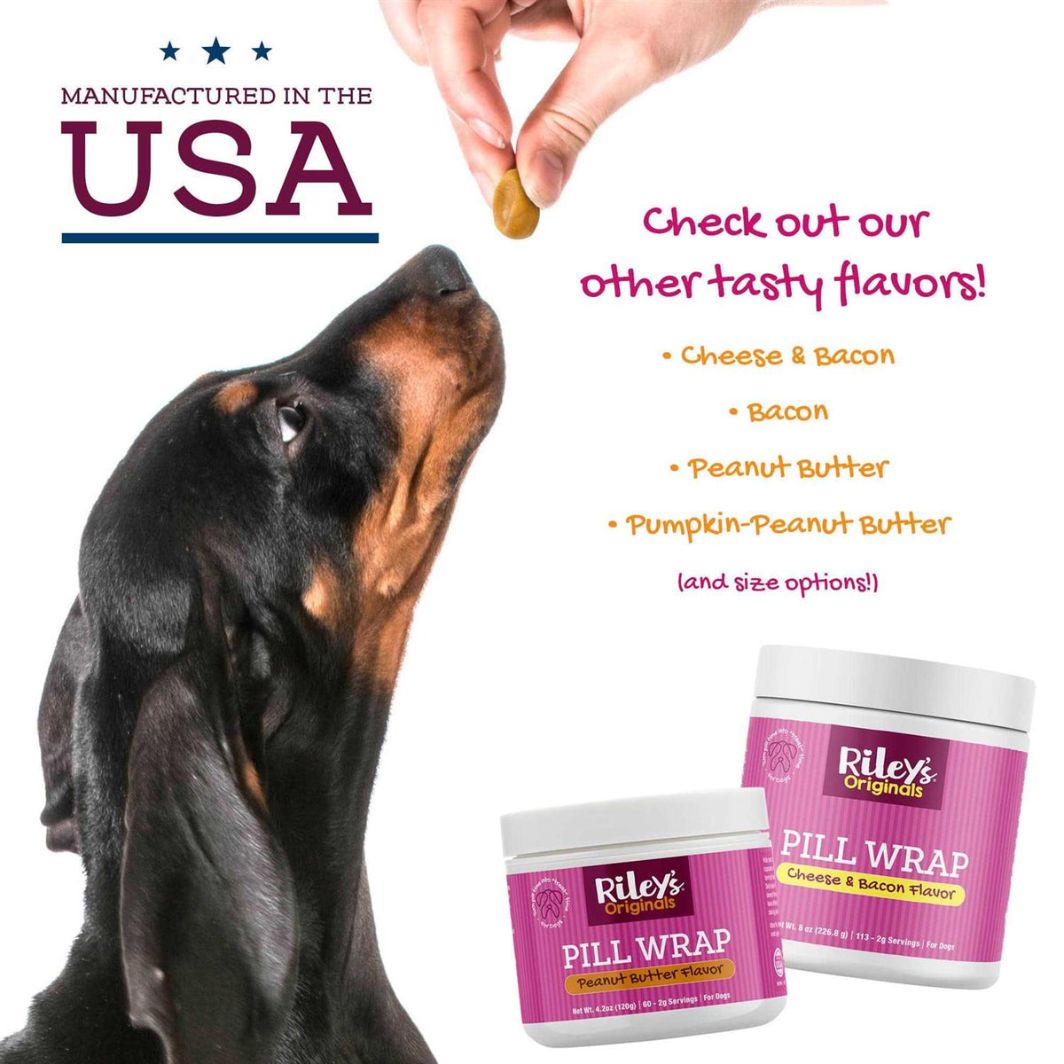 Peanut Butter Flavored Pill Paste for Dogs L2044