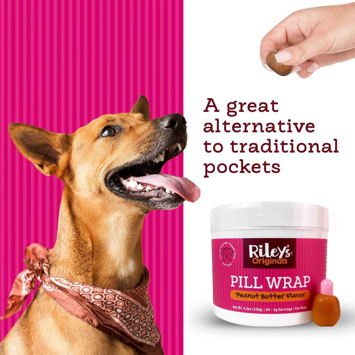 Peanut Butter Flavored Pill Paste for Dogs L2044