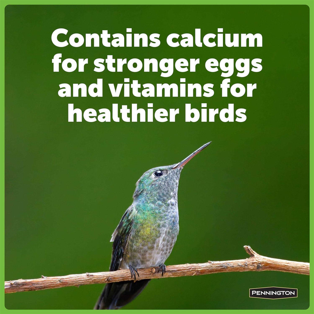 Hummingbird Food No Artificial Dye L183