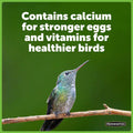 Hummingbird Food No Artificial Dye L183