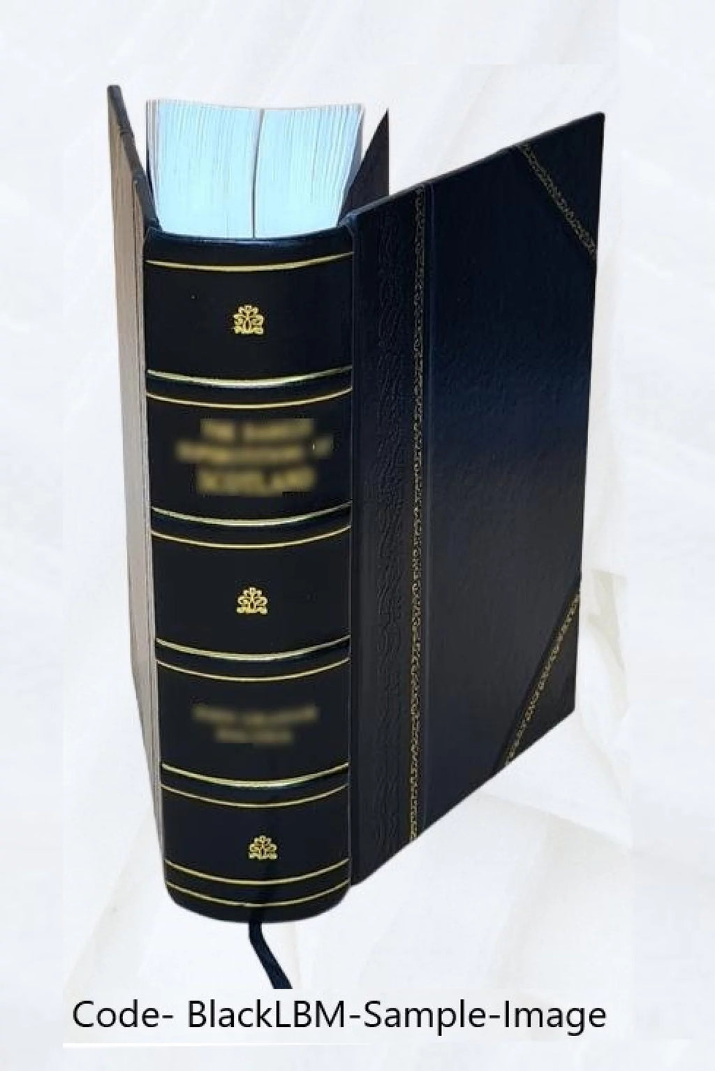 Public Lands Cases Leather Bound F324189