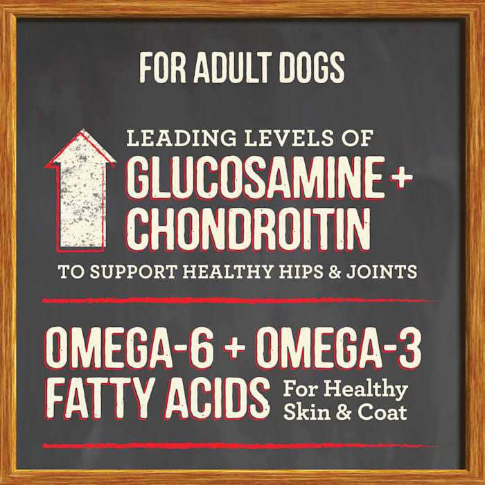 Real Ancient Grains Dry Dog Food G18759
