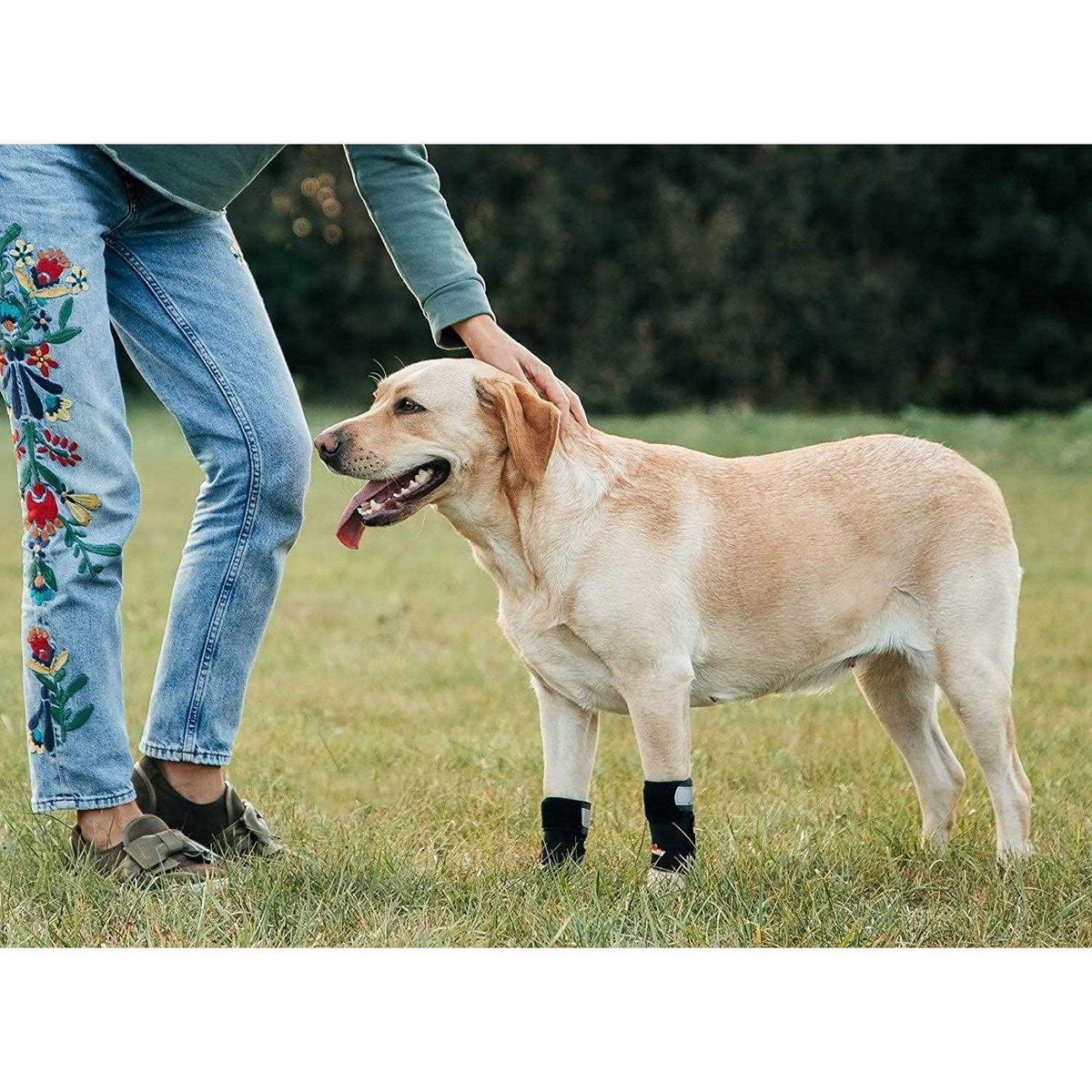 3-in-1 Dog Front Leg Support Brace M703376