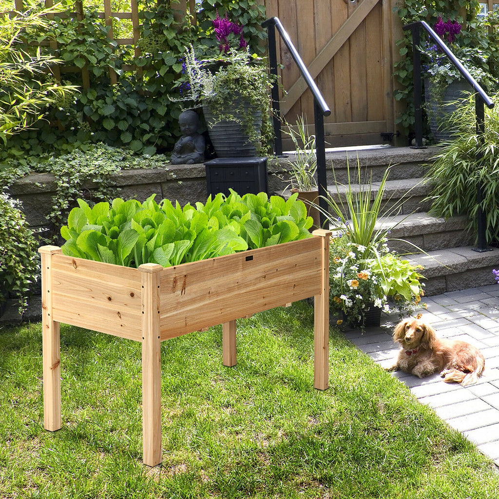 Wooden Raised Garden Bed F605023