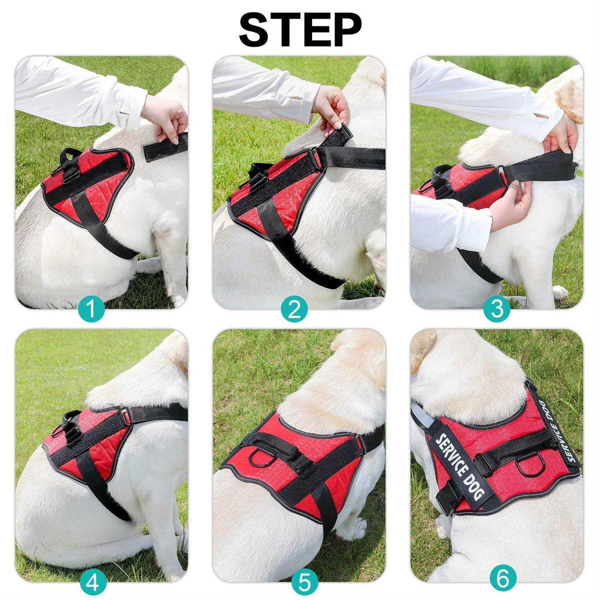 Service Dog Harness A2325