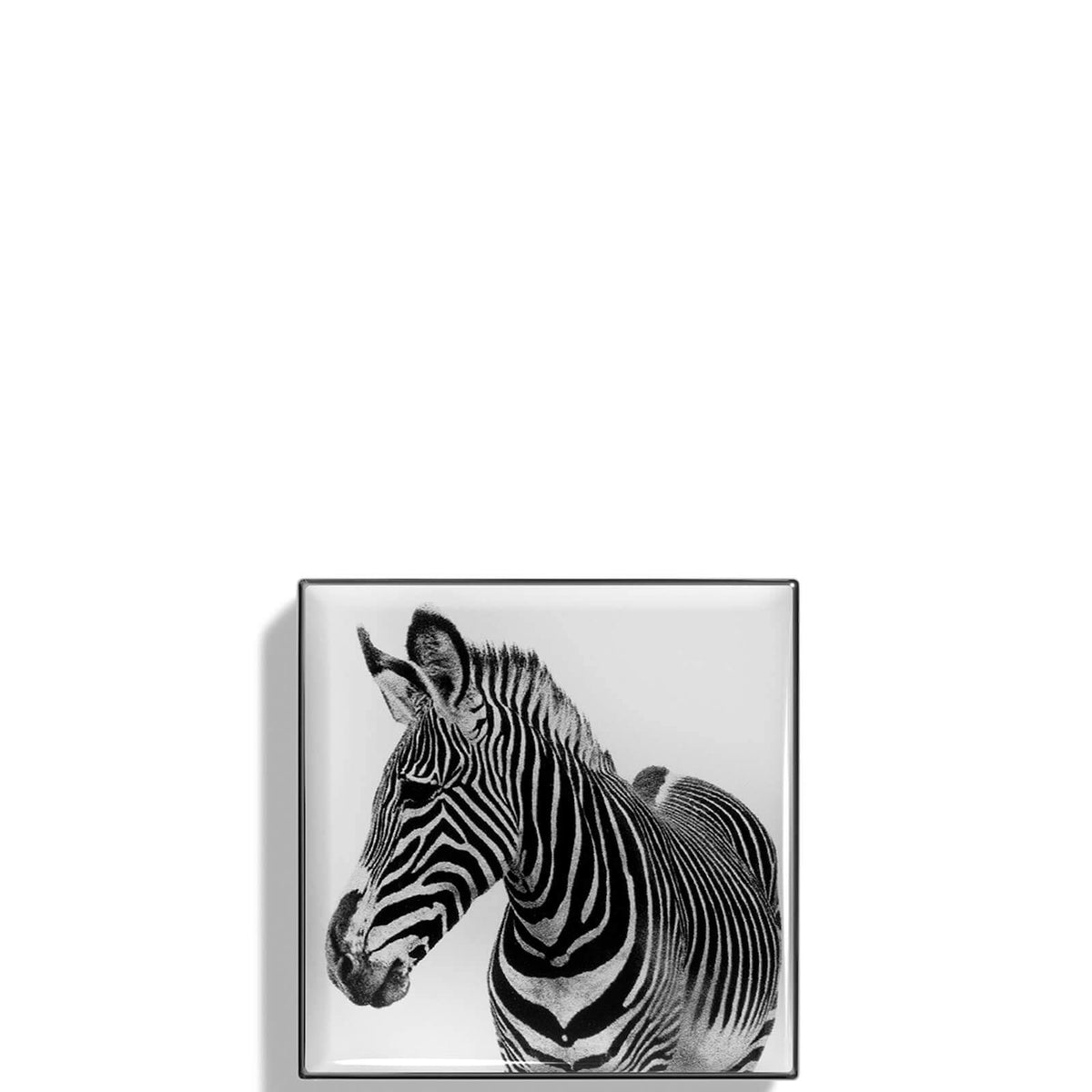 Zebra Luminescent Eye Shade B17503